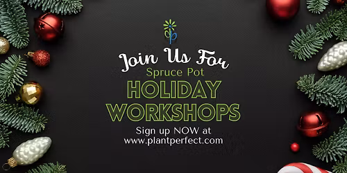 Holiday Spruce Pot Holiday Workshops!