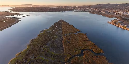 Earth Day - Arrowhead Marsh Park Maintenance (Volunteer Event)