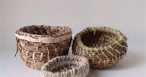Wild Weaving Catch-up