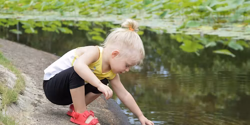 Little Saplings: Pond Exploration