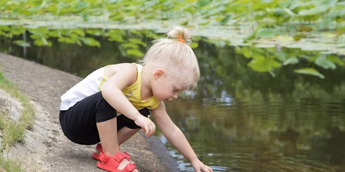Little Saplings: Pond Exploration