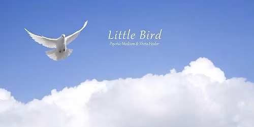 Evening of mediumship with Karen Teague (Little Bird)