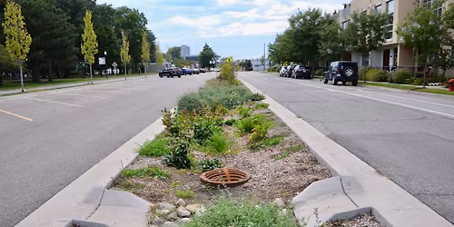 Clinton Cleanup: Royal Oak