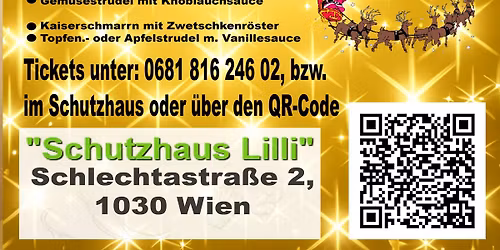 Christmas in Vienna