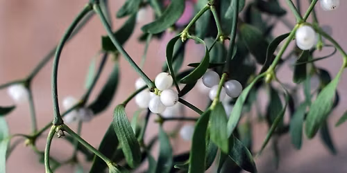 Sacred Sweatlodge Celebrating Winter Solstice Yule