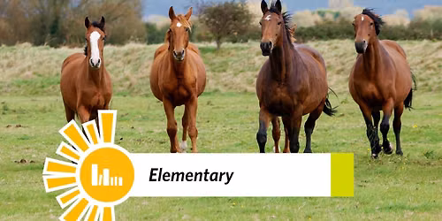 Discovery Days: Hearts of the Herd