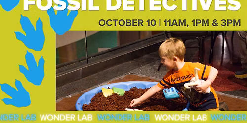 Wonder Lab: Fossil Detectives