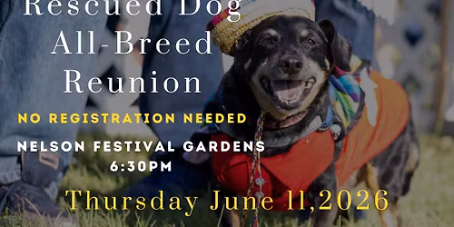 Rescued Dog Reunion