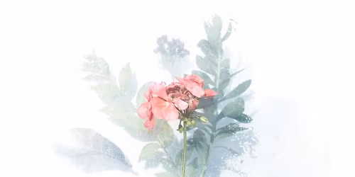Beginner Watercolor Paint & Sip
