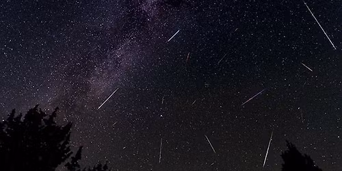 Geminid Meteor Shower