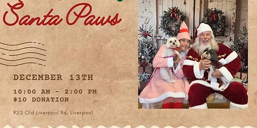 RescueLove's Santa Paws