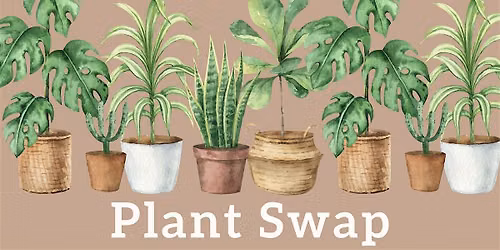 Community Plant Swap with Luludi Living Art