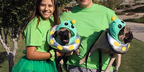 Barks & Treats