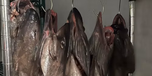 YHWH Nailgun, Dry Cleaning in Toronto