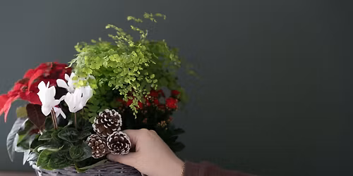 Make-n-Take : Poinsettia Garden at Mahoney's Falmouth