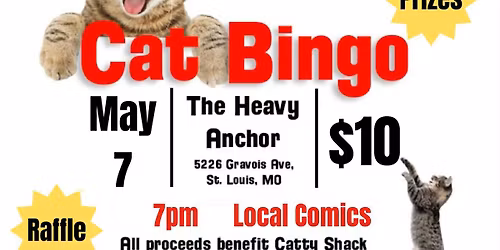 Cat Bingo: A Benefit for Catty Shack Cat Sanctuary 