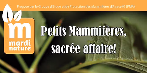 Conf\u00e9rence Mardi Nature : Petits Mammif\u00e8res, sacr\u00e9e affaire!