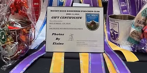 2026 Doberman Extravaganza