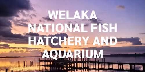 Welaka National Fish Hatchery Field Trip
