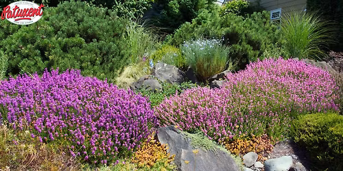 Drought-Tolerant Dream Garden Seminar