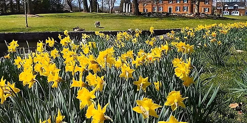 Morning Garden Walk: The Waking Garden