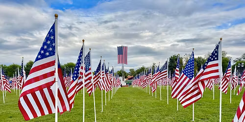 The Healing Field of Honor