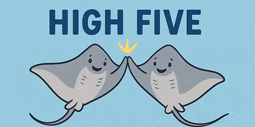 High Five Friday
