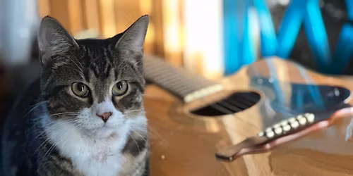 Charity Event - For the sake of being humane