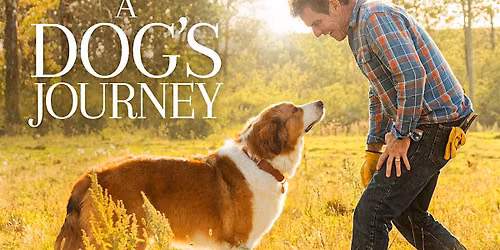 Coziest Sofa Theater for You and Your Dogs in LA
