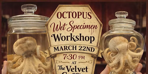 Octopus Wet Specimen Workshop