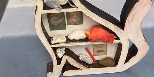 Miniature cat shelf class