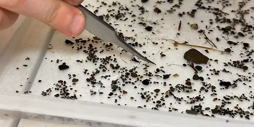 Biomonitoring Open Lab Nights