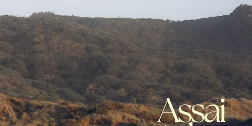 Assai Asha: Rest for the Soul