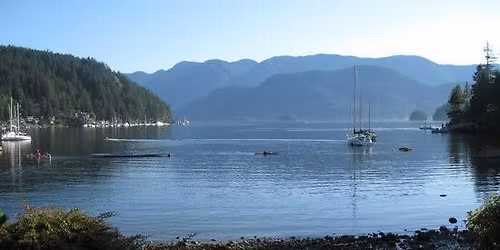 The November 21st Deep Cove Coffee House