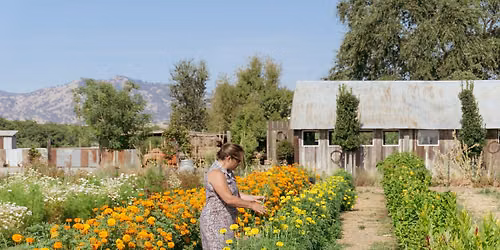 Pick Your Own Bouquet