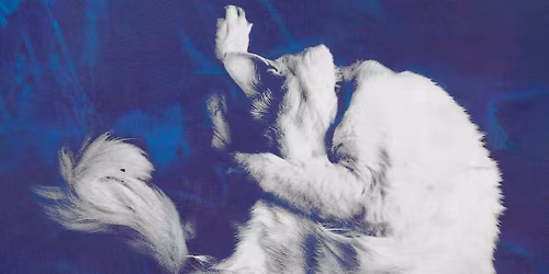 CHAPTERHOUSE - Whirlpool 35 Performing their classic debut album in full