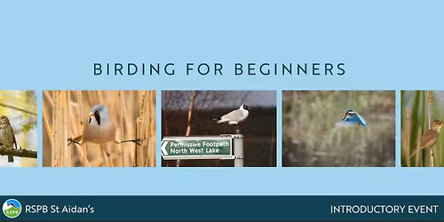 Birding for Beginners- RSPB St Aidan's