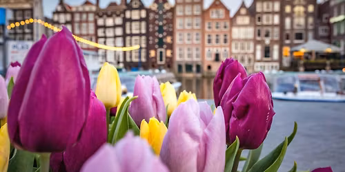 Smart Escape - Amsterdam