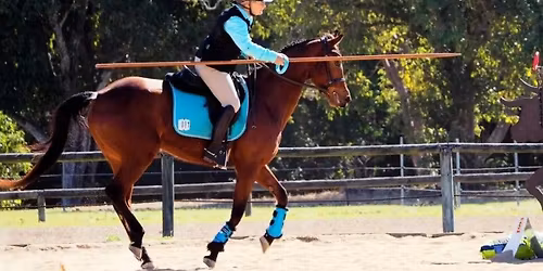 Working Equitation Clinic with Stephanie Hayes