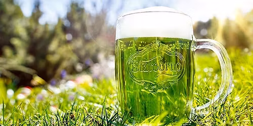 TRADI\u010cN\u00cd ZELEN\u00c9 PIVO \ud83c\udf7b 