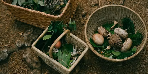 Foraging with Mark (Adults)