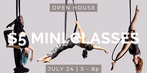 $5 Mini Classes - Silks, Hammock & Lyra