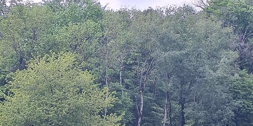 Rinder-Reiter-Lehrgang Bad Schwalbach mit Marco Hubricht