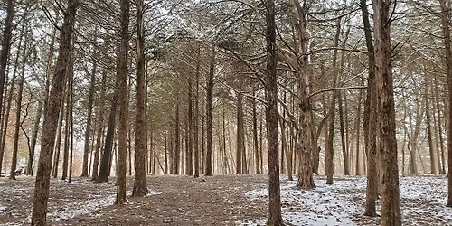 Cleanup Columbia - Indian Hills Disc Golf Course