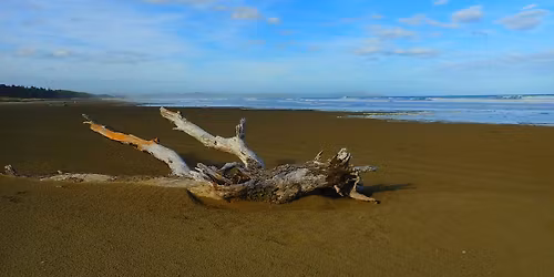 Rotary 4x4 Trek Waipukurau