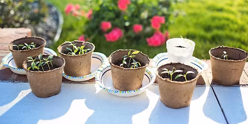 2026 Annual Plant Swap