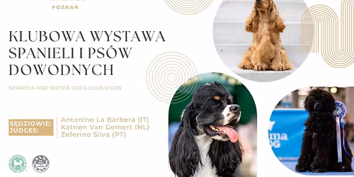 KLUBOWA WYSTAWA SPANIELI I PS\u00d3W DOWODNYCH \/ SPANIELS AND WATER DOGS CLUB SHOW