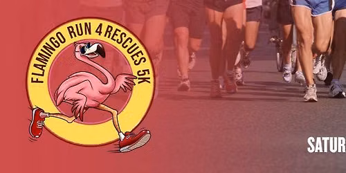 Flamingo Run for Rescues 5k 