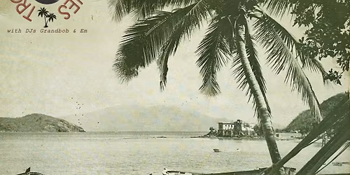 \ud83c\udf34 TROPICAL GROOVES \ud83c\udf34