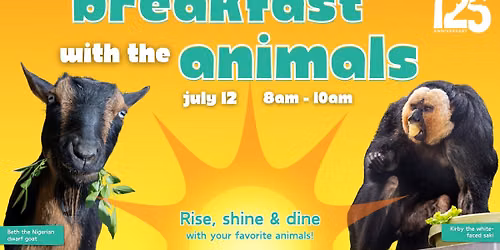 Breakfast with the Animals